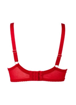 Bügel-BH "Eloise" | Rot 13 Bügel-BH "Eloise" | Rot -Outlet COSABELLA Store Eloise BH rot Freisteller hinten neu 1280x1280