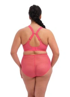 ELOMI Plunge Bügel-BH "Amorous" | Candy 10 ELOMI Plunge Bügel-BH "Amorous" | Candy -Outlet COSABELLA Store Elomi Charley Candy BH und Slip Shop hinten Verschluss 1280x1280