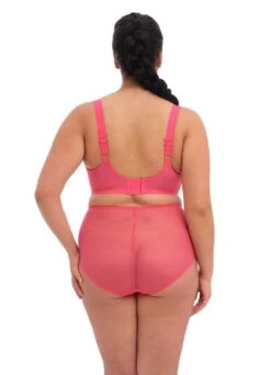 ELOMI Plunge Bügel-BH "Amorous" | Candy 9 ELOMI Plunge Bügel-BH "Amorous" | Candy -Outlet COSABELLA Store Elomi Charley Candy BH und Slip Shop hinten 1280x1280