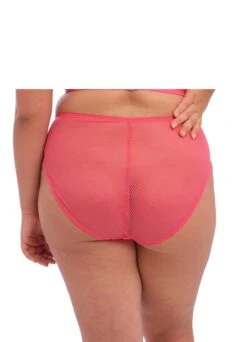 ELOMI Slip "Amorous" | Candy -Outlet COSABELLA Store Elomi Charley Candy Slip Shop hinten 1280x1280